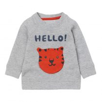baby boys sweatshirts long sleeves wearing in spring and autumn, fall, made of cotton for kids 2T,3T,4T,5T,6T,7T multicolors available.